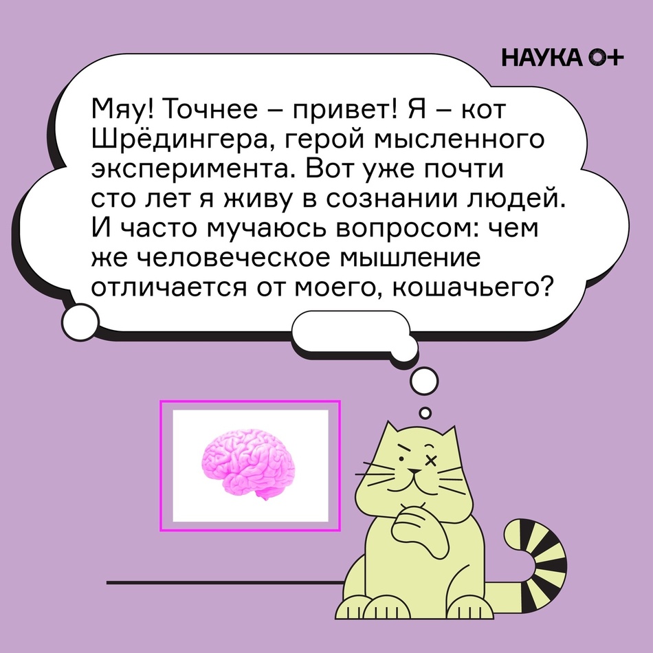 Чем человеческое мышление отличается от кошачьего?